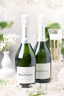Deux bouteilles de blanquette de Limoux issues des caves des Vignerons du Sieur d'Arques