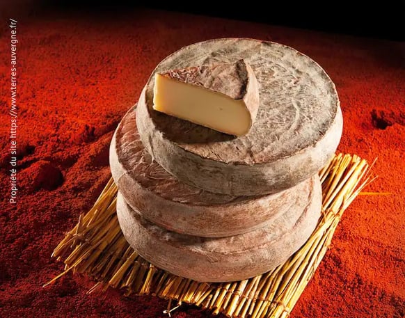 4 fromages Saint-Nectaire superposés