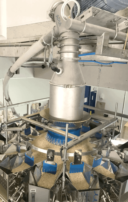 Système de transfert de riz par vis flexible pour alimenter une conditionneuse en paquets