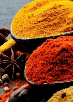 Containers filled with orange and red spices used in recipes by agri-food industrial producers