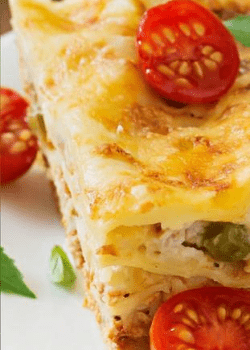 Slice of lasagne with cherry tomatoes from the prepared dishes and ready meals agri-food sector 