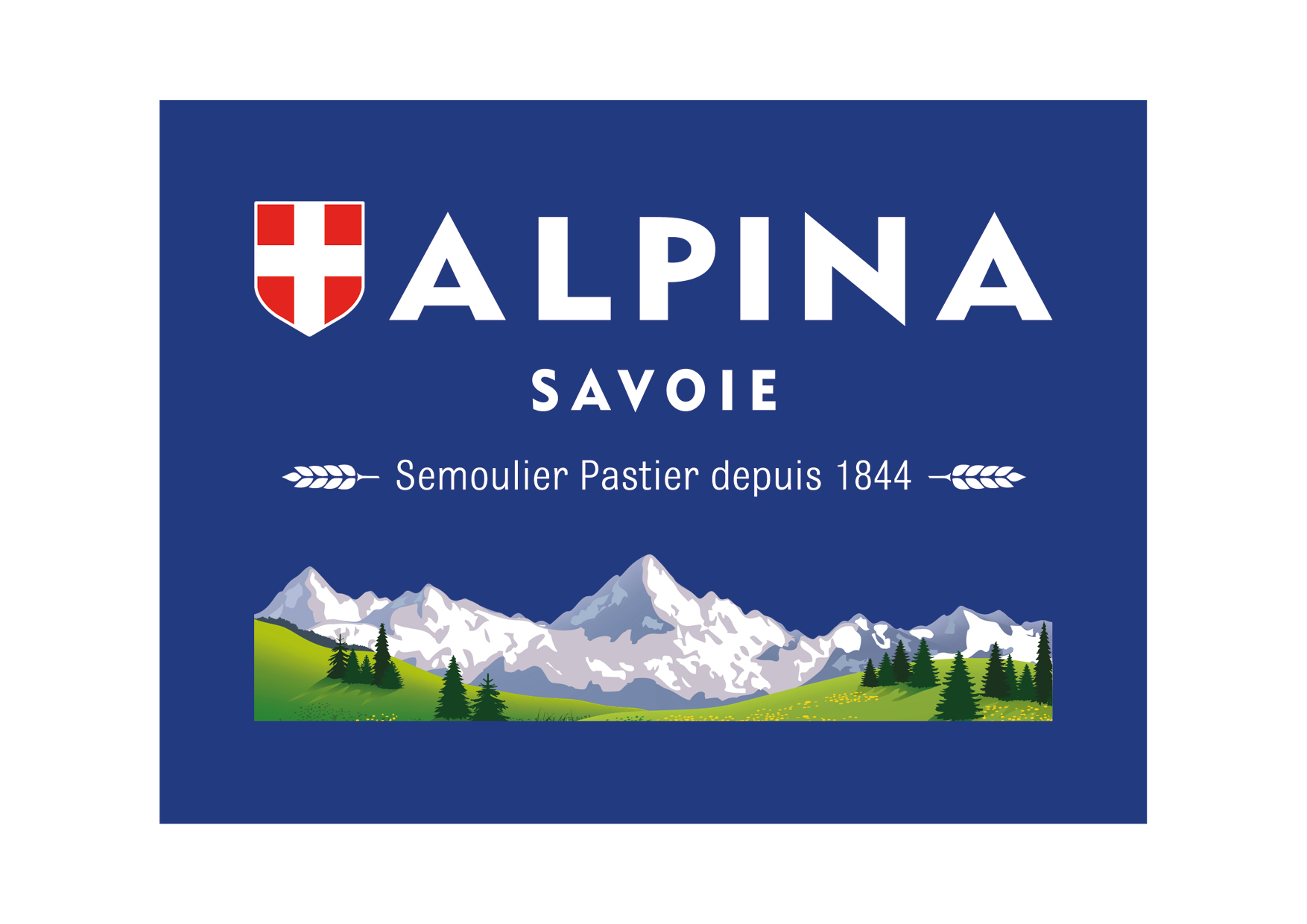 logo alpina savoie, partenaire de Apia Technologie