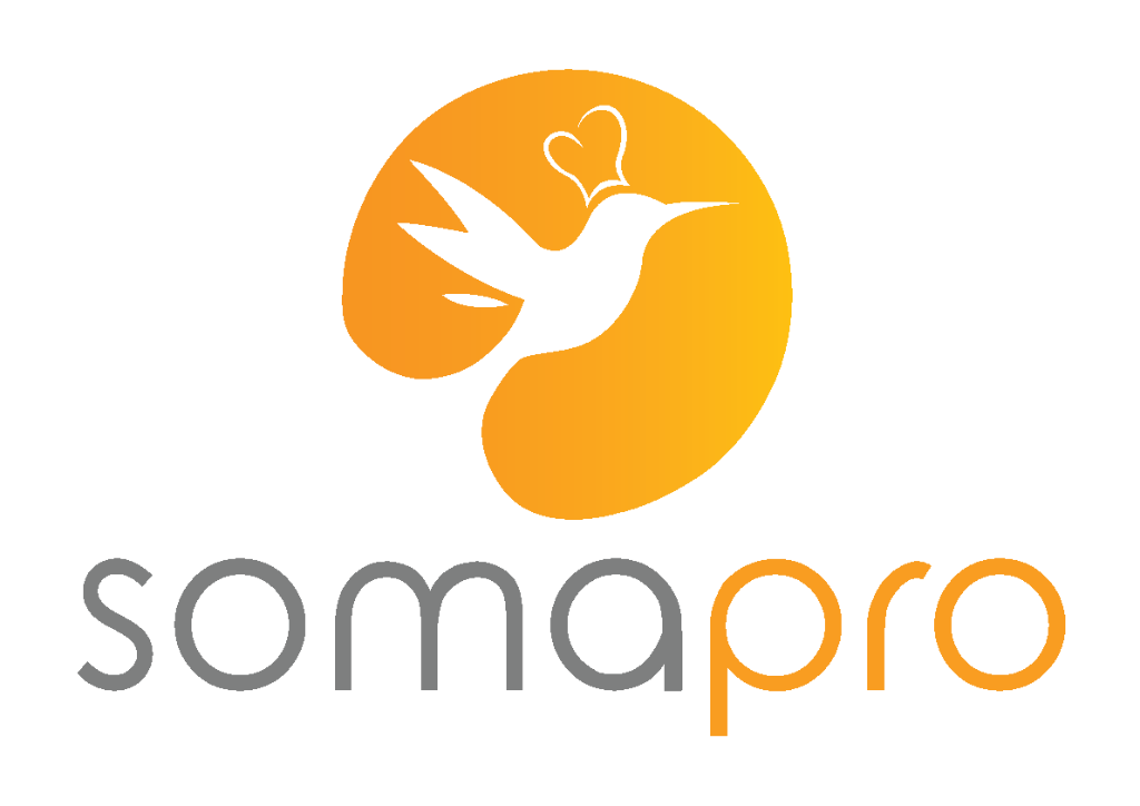 logo somapro, partenaire de Apia Technologie