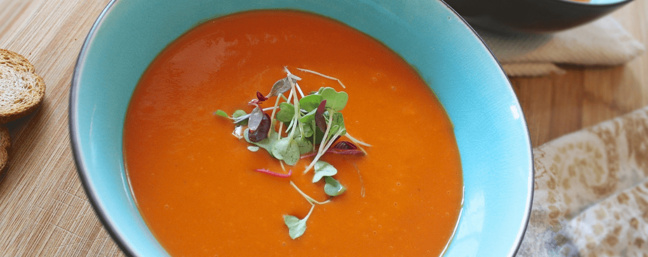 Tomato soup in a dish prepared from water-soluble powder