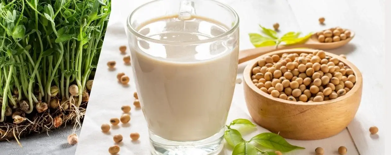 Un verre de lait de soja posé sur une table près d'une assiette avec des graines de soja bio