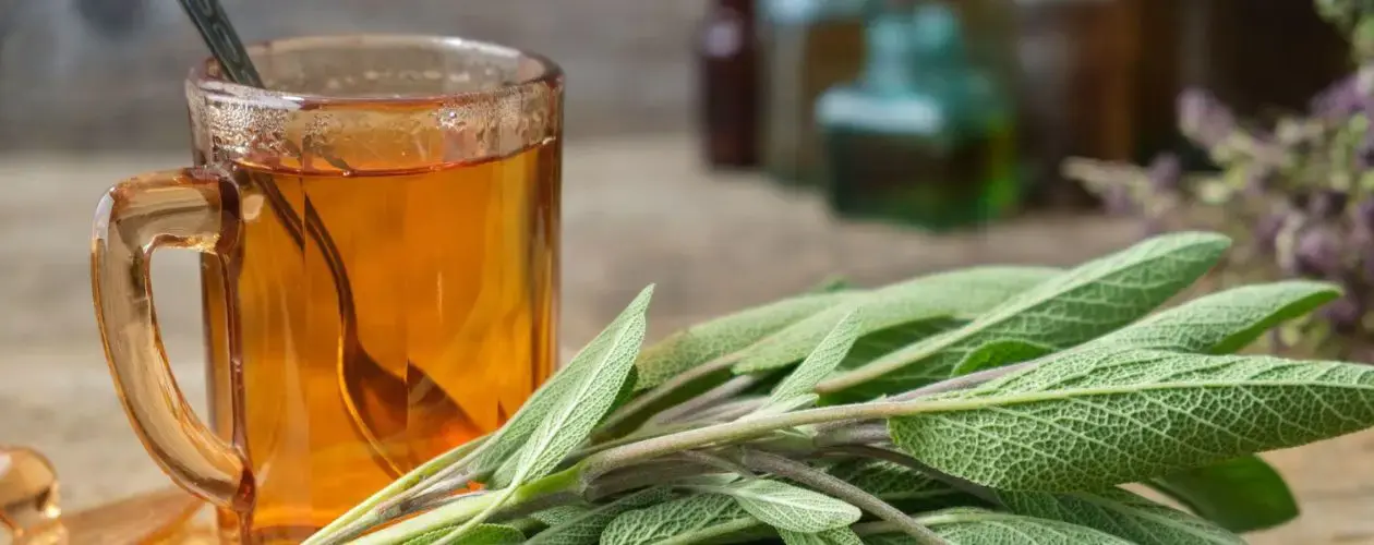 Une tasse de tisane des 2 Marmottes