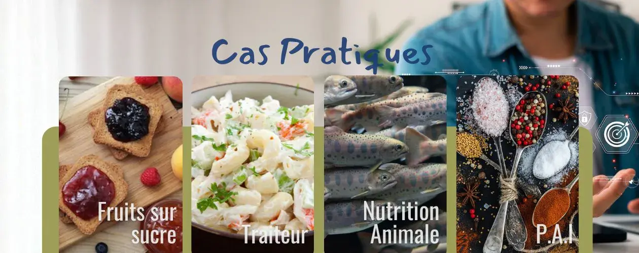 Illustrations des 4 cas pratiques concernant des conceptions sur mesure dans les filières Fruits sur sucre, Taiteur, Nutrition animale, PAI