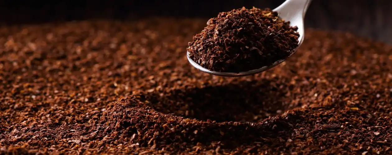 Une cuiller de café a extrait une dose de café moulu