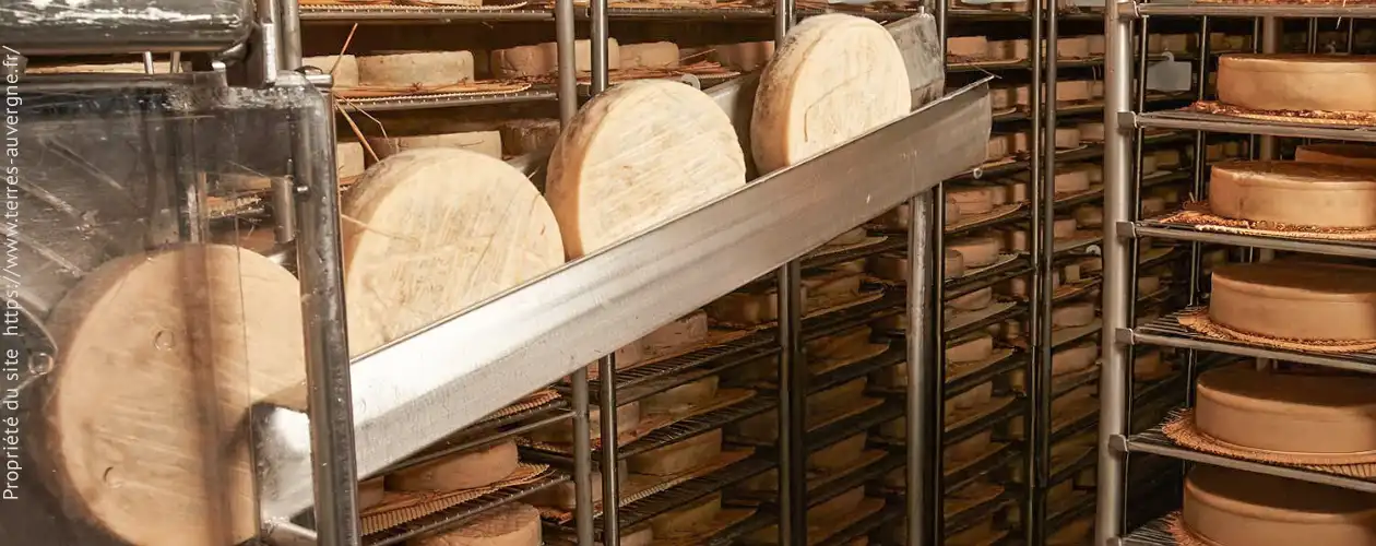 cave d'affinage des fromages chez souchon d'auvergne