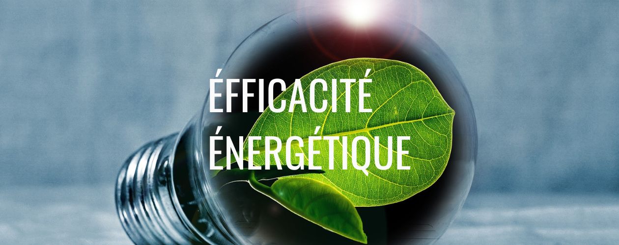 Illustration de l'efficacité énergétique avec une ampoule dont le filament est remplacé par un feuillage vert